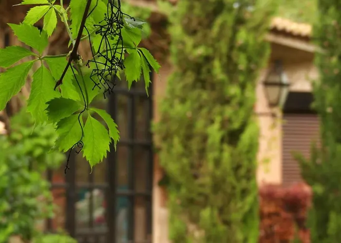 El Pitanar 테루엘